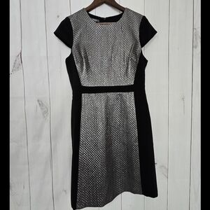 Muse Silver and Black Dress